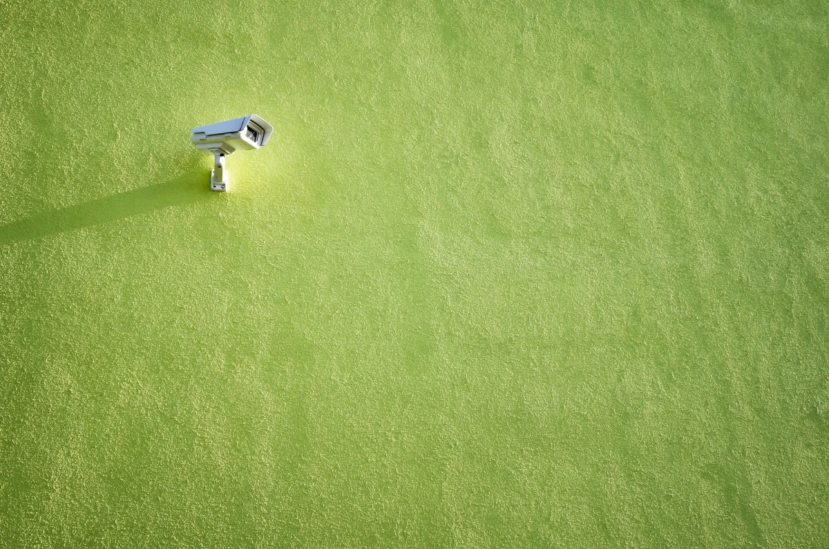 Révolution verte : Les nouvelles normes environnementales bouleversent la construction neuve
